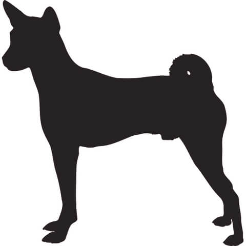 Clôtures pour chiens