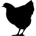 Clôture pour poules