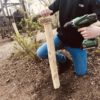 Robinia palen 6-8 cm diameter 250 cm lang | Adéquat