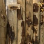 Afscheiding van kastanjehouten palen 10-12 cm