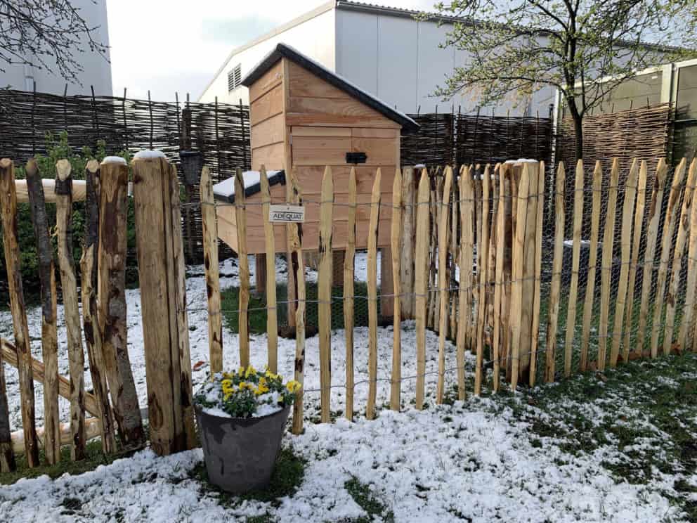 Schapenhek van 100 cm hoog met een latafstand van 6 cm met een franse rondhoutpoort van 100 cm breed bij 100 cm hoog als doorgang bij een kippenren