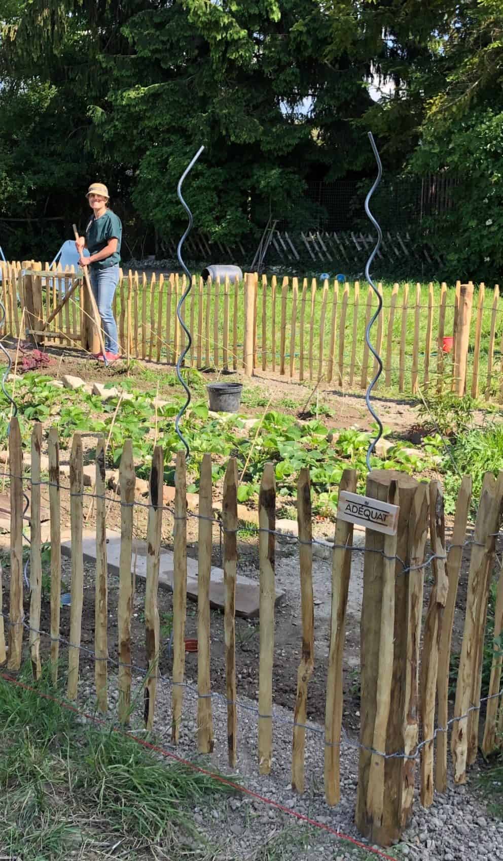 Schapenhek van 80 cm hoog met een latafstand van 6 cm met een raamwerkpoort van 80 cm hoog bij 80 cm breed als doorgang naar een moestuin.