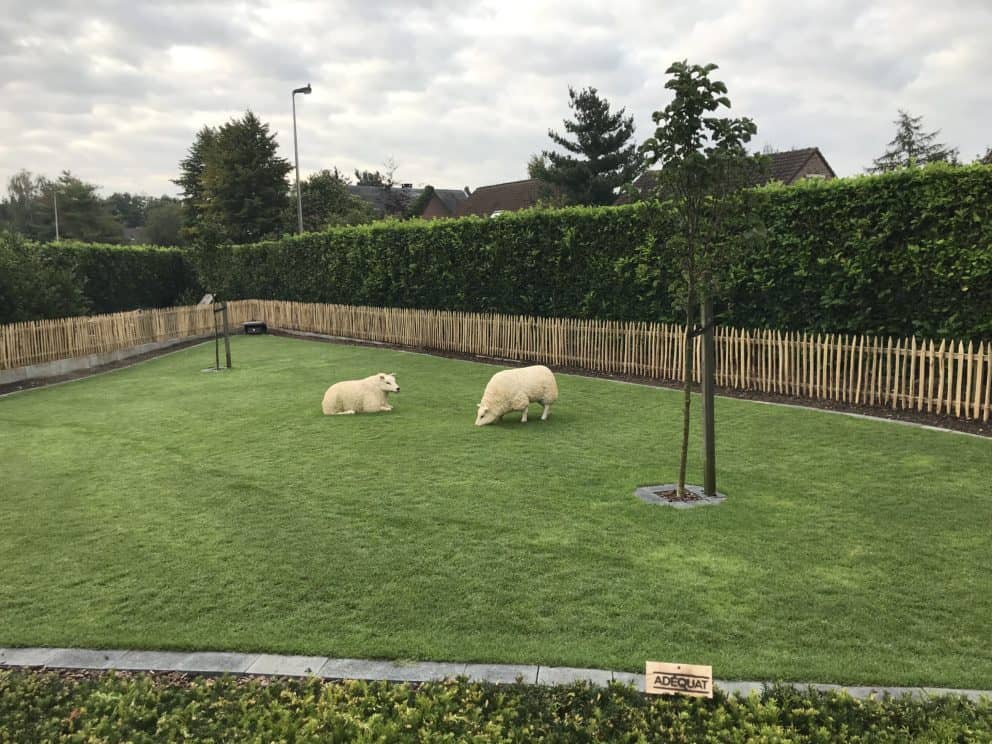 Frans schapenhek van kastanjehout met een hoogte van 80 cm en een latafstand van 4 cm