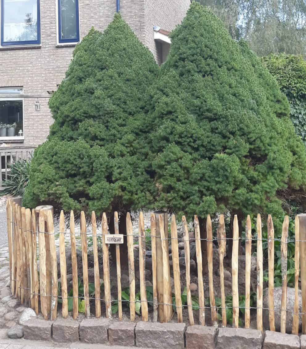 Frans schapenhek van kastanjehout met een hoogte van 80 cm en een latafstand van 4 cm