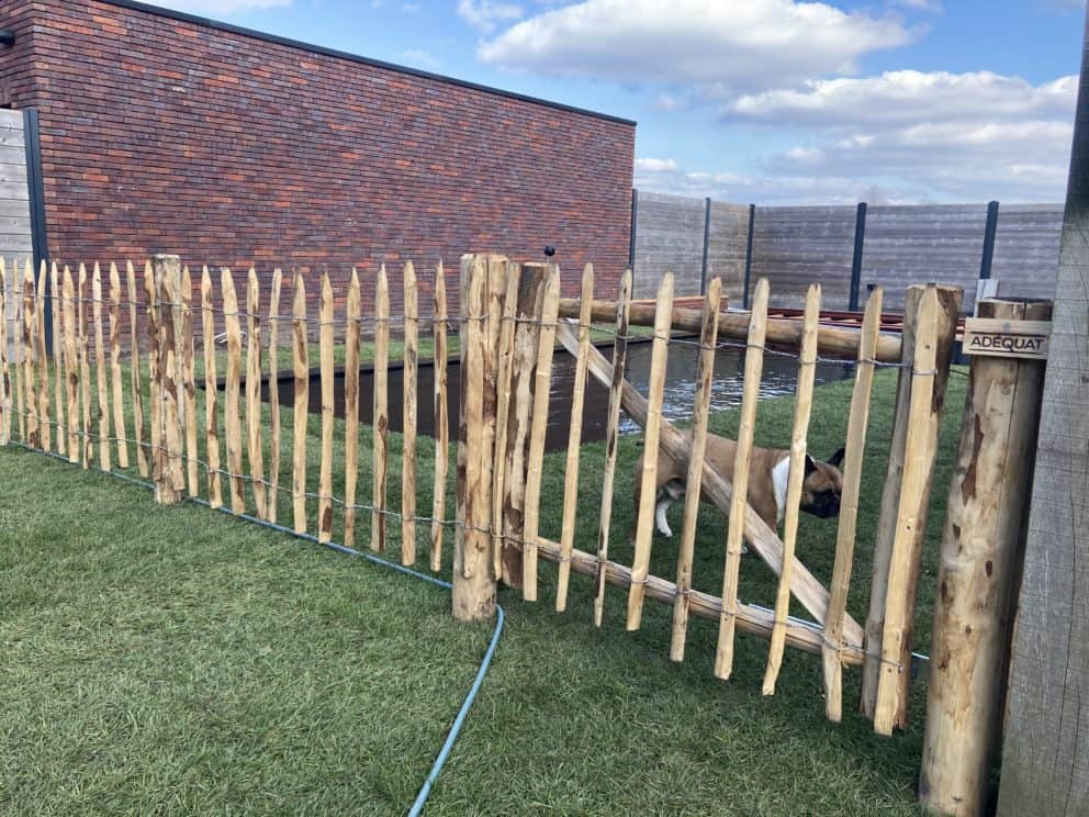 Frans schapenhek van kastanjehout met een hoogte van 80 cm en een latafstand van 8 cm en een raamwerkpoort 100 cm breed x 80 cm hoog