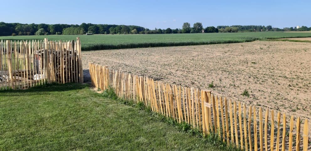 Frans schapenhek van kastanjehout met een hoogte van 80 cm en een latafstand van 4 cm