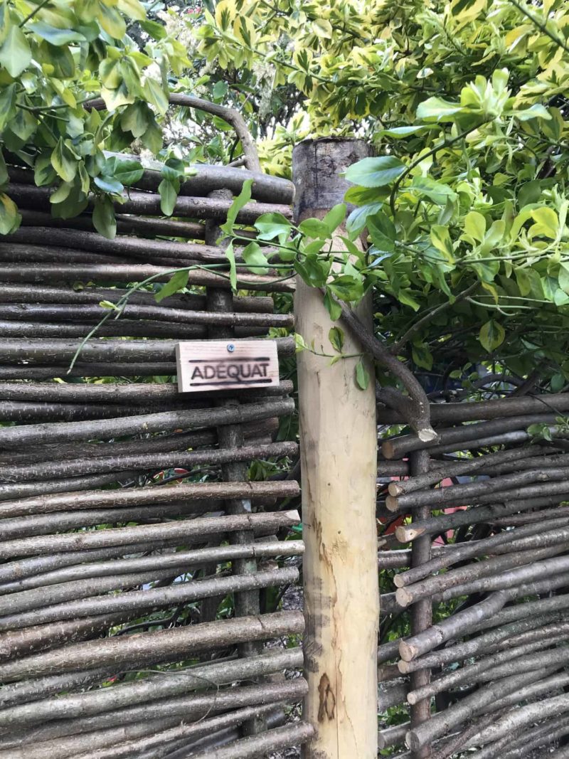 Hazelaarscherm Somme 1 in een tuin met takken van een groene boom die over het scherm valt.