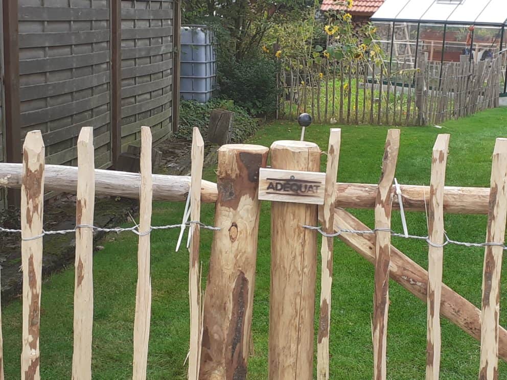 Raamwerkpoort van 150 cm breed bij 120 cm hoog als doorgang in de tuin.