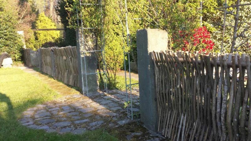 Hazelaarscherm van 75 cm gebruikt als lage afrastering in een tuin tussen een rozenboog in de tuin.