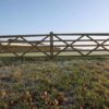 Engelse poort eiken dubbel - Afbeelding 8