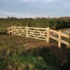 Engelse poort eiken dubbel - Afbeelding 2