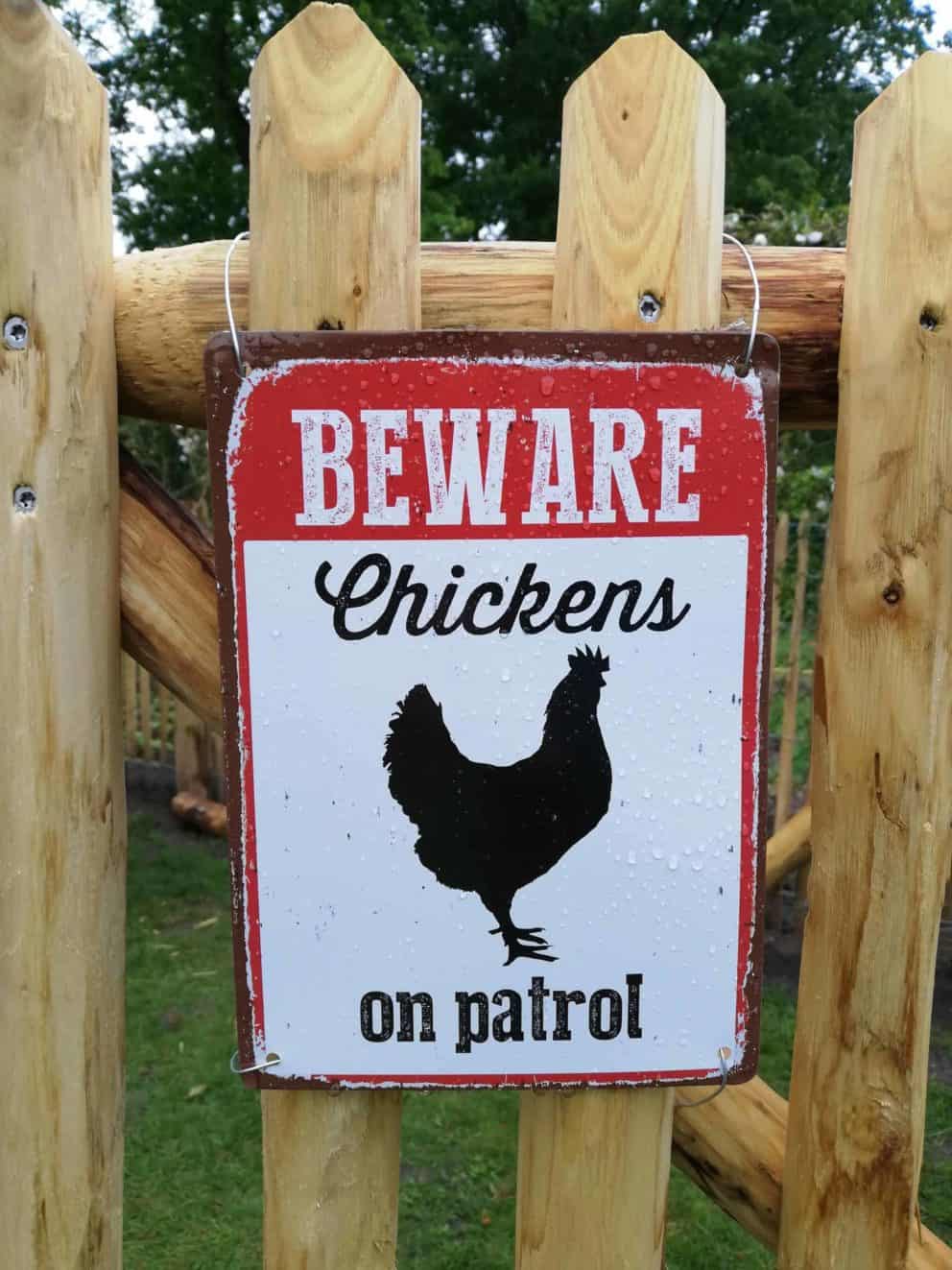 Franse rondhoutpoort van 120 cm hoog-kastanjehout als doorgang bij een kippenhok met een bordje 'beware chickens on patrol' bevestigd aan de poort.