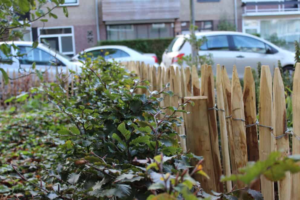 Frans schapenhek van kastanjehout met een hoogte van 80 cm