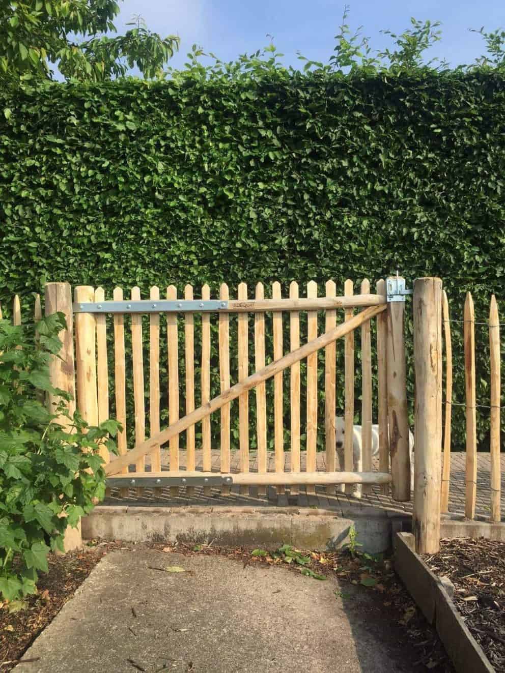 Dubbele Franse rondhoutpoort van 100 cm hoog bij 120 cm breed bevestigd tussen schapenhek van 100 cm hoog als afscheiding in de tuin.