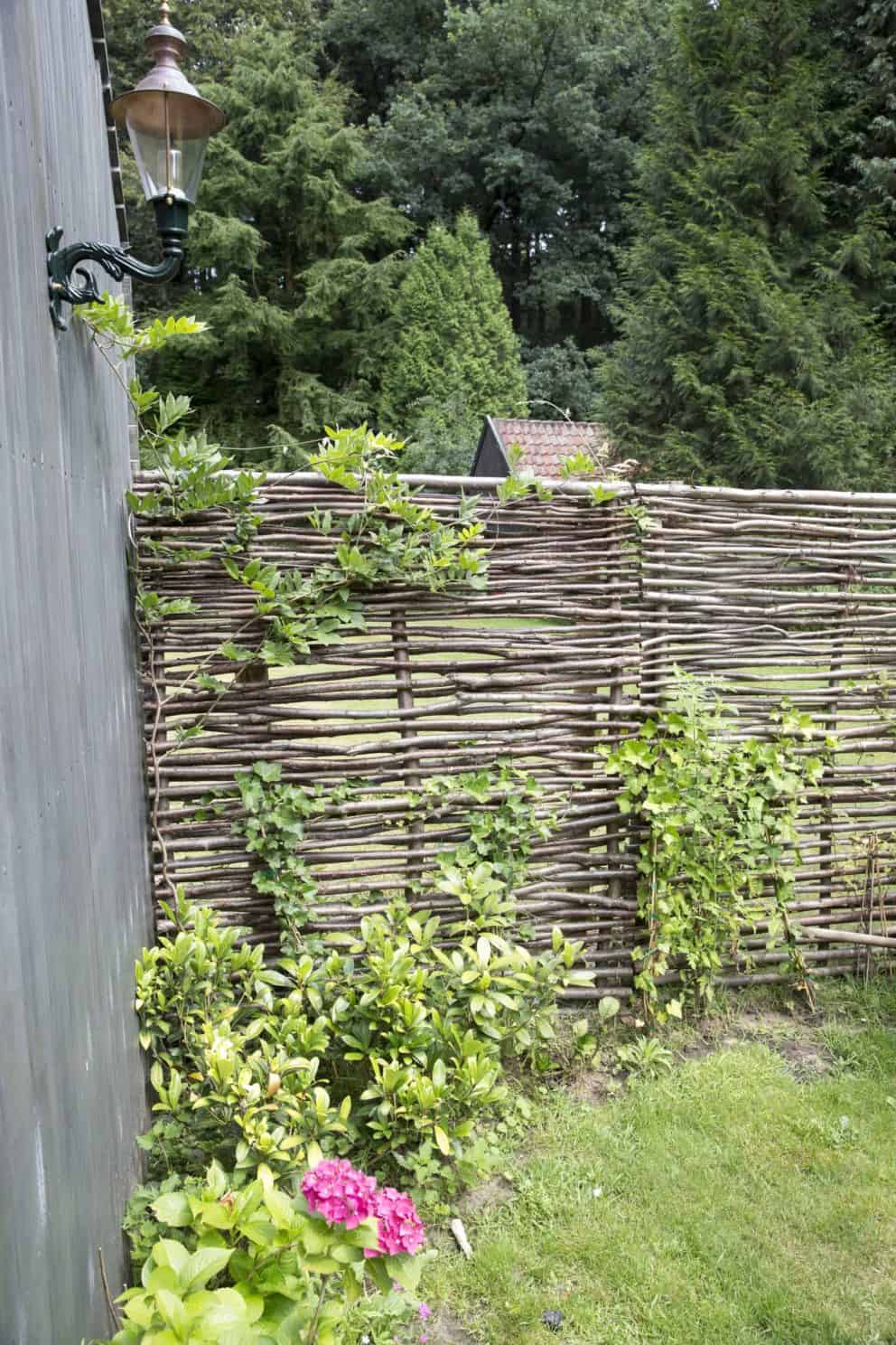 Hazelaarscherm gebruikt als tuinafscheiding in een groene tuin met begroeiing op de afscheiding.