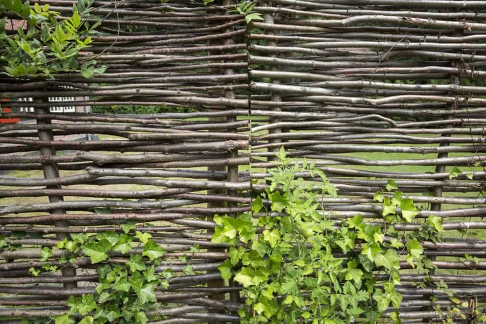 Hazelaarscherm gebruikt als tuinafscheiding in een groene tuin met begroeiing op de afscheiding.