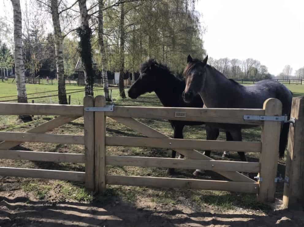 Nederlandse veldpoort eiken dubbel 210 cm breed per poortdeel