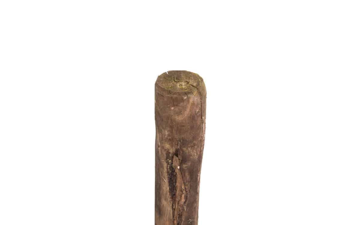 Robinia paal Ø 6/8 cm