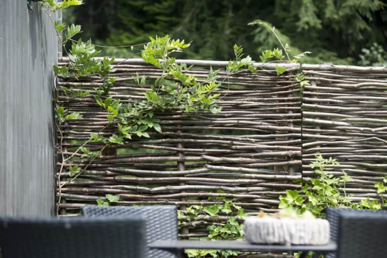 Hazelaarscherm gebruikt als tuinafscheiding in een groene tuin met begroeiing op de afscheiding.