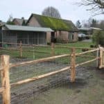 Post & Rail 2-niveau robinia posten en schapengaas (ursus) en kwart rail