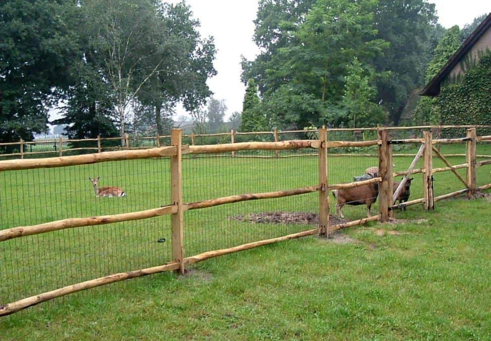 Post & Rail kastanje 3 niveau ronde railen met pantanetgaas