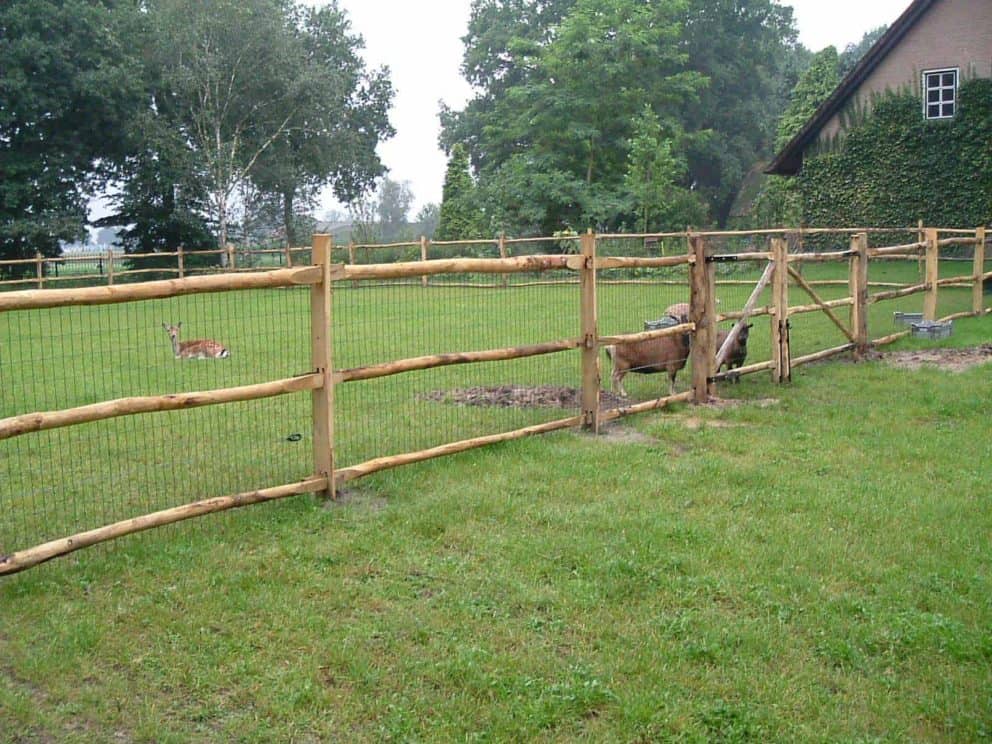 Post & Rail kastanje 3 niveau ronde railen met pantanetgaas