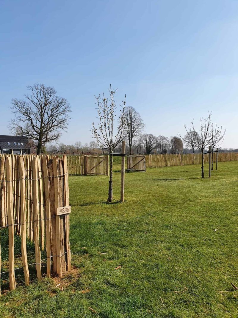 Schapenhek 100 cm met latafstand 6 cm. De klant gebruikte robiniapalen en een dubbele Franse rondhoutpoort