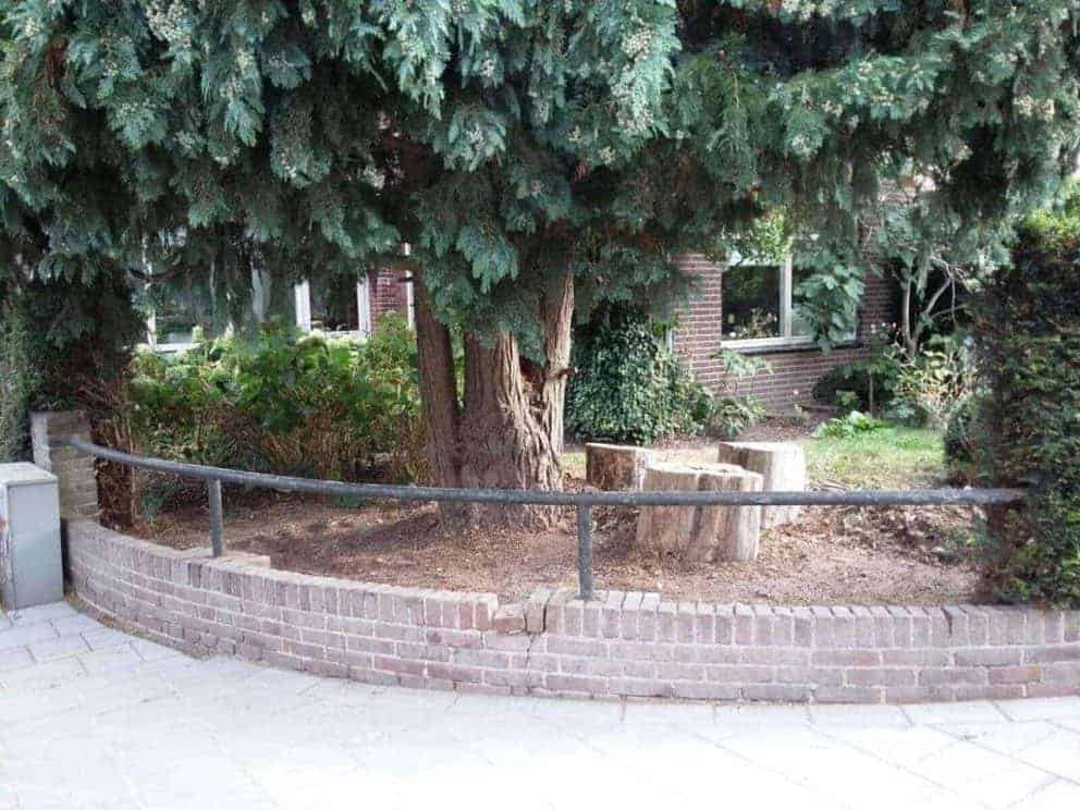 De before foto van de tuin voordat er een wilgentenen scherm geplaatst werd. Hier is de stam van de grote boom te zien en een deel van het huis. Er is weinig privacy.