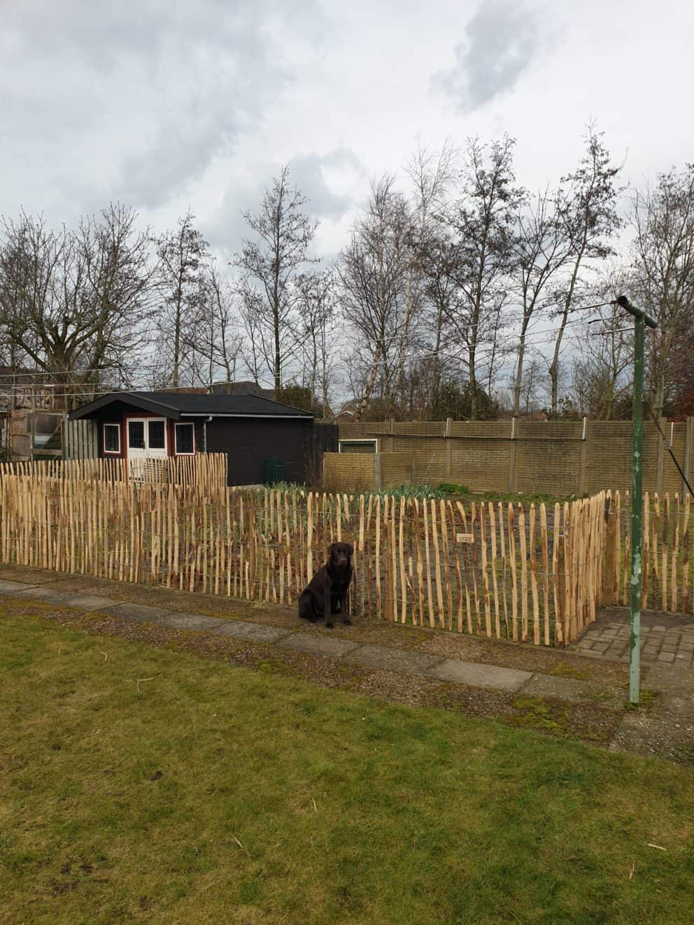 Frans Schapenhek 100 cm hoog met een latafstand van 4 cm om de hond uit de moestuin te houden