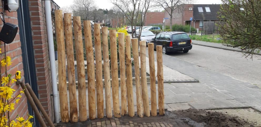 kastanje palen met een diameter van 10-12 cm