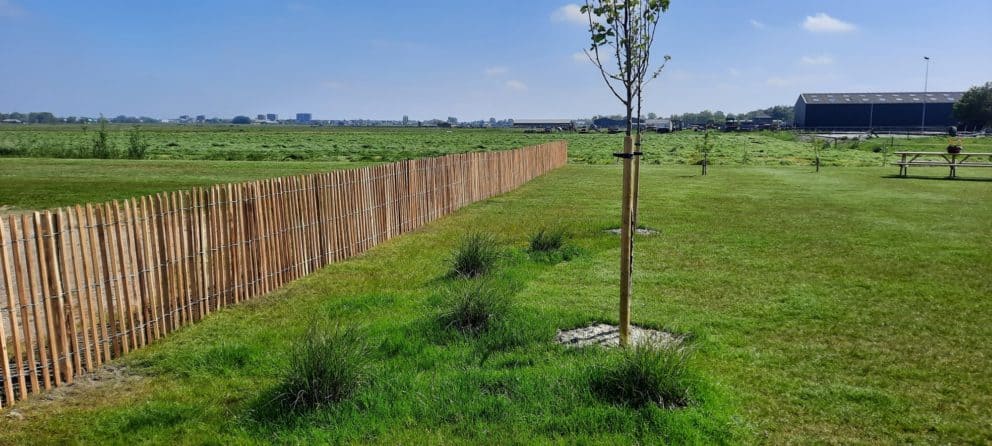 Frans schapenhek van robinia hout met een hoogte van 120 cm en een latafstand van 4 cm