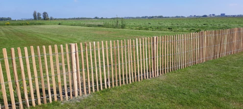 Frans schapenhek van robinia hout met een hoogte van 120 cm en een latafstand van 4 cm