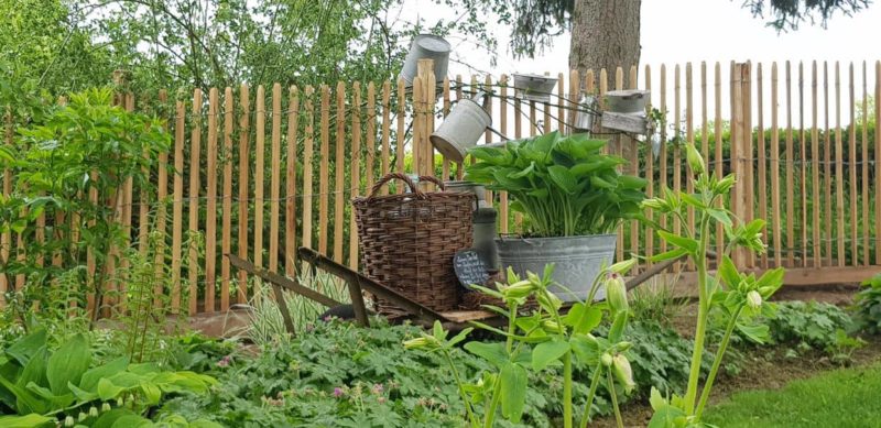 Frans schapenhek van robinia hout met een hoogte van 120 cm en een latafstand van 4 cm