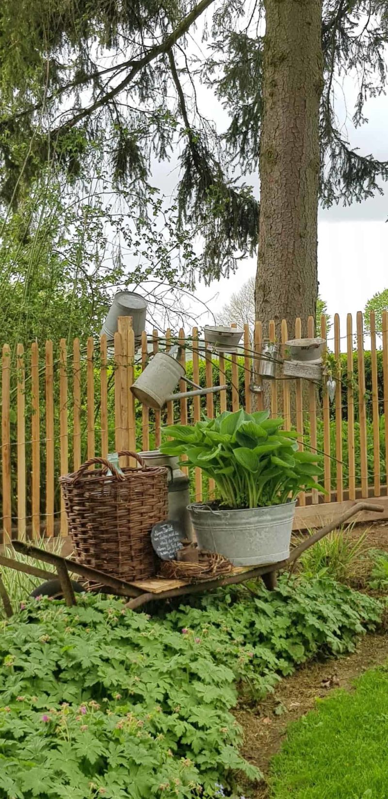 Frans schapenhek van robinia hout met een hoogte van 120 cm en een latafstand van 4 cm