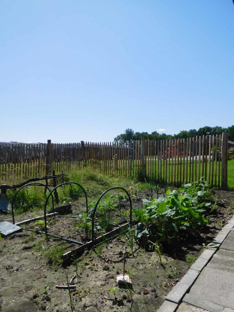 Frans schapenhek van robinia hout met een hoogte van 120 cm en een latafstand van 4 cmAdequat