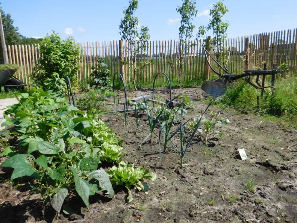 Frans schapenhek van robinia hout met een hoogte van 120 cm en een latafstand van 4 cm Adequat