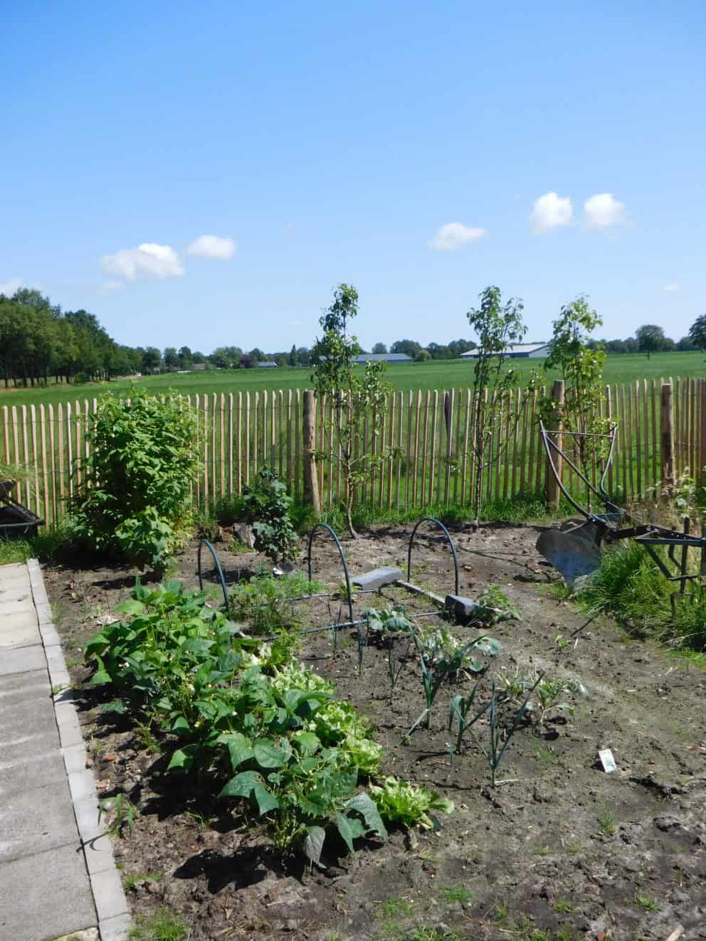 Frans schapenhek van robinia hout met een hoogte van 120 cm en een latafstand van 4 cm Adequat