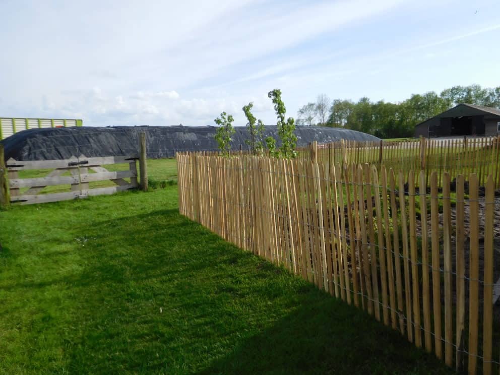 Frans schapenhek van robinia hout met een hoogte van 120 cm en een latafstand van 4 cm Adequat