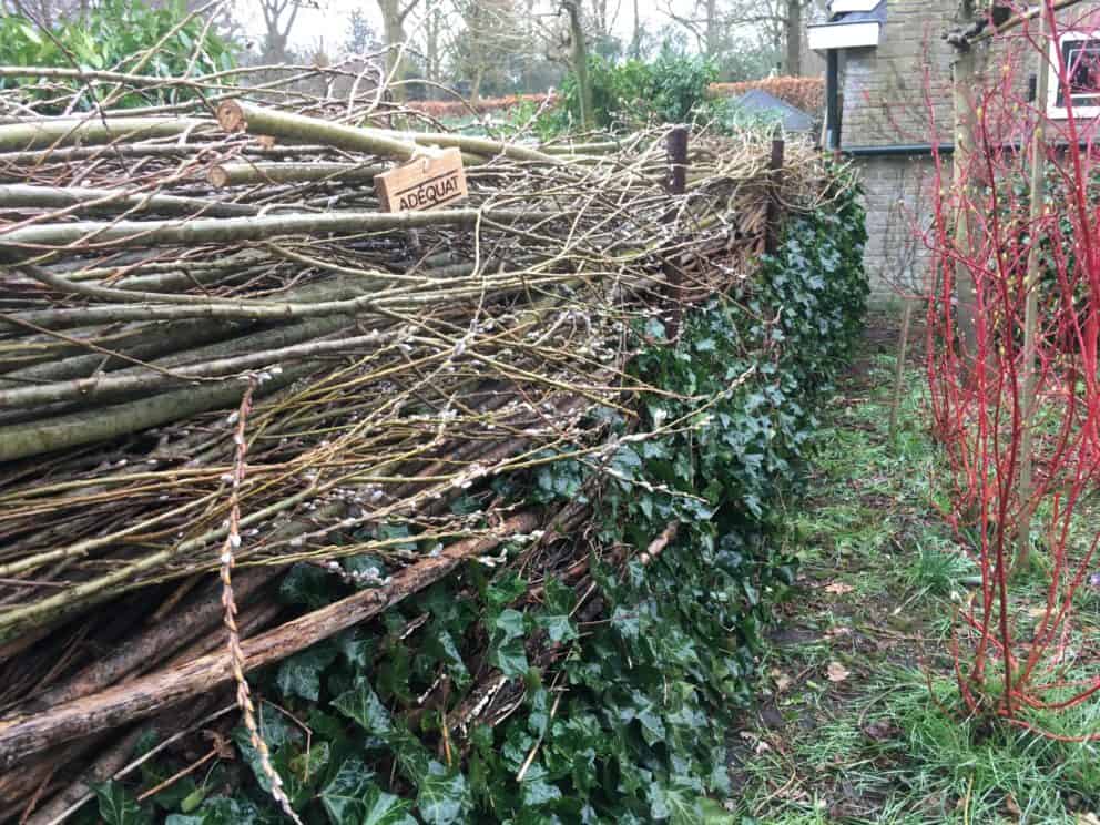 Natuurlijke schutting van wilgentenen | Adéquat