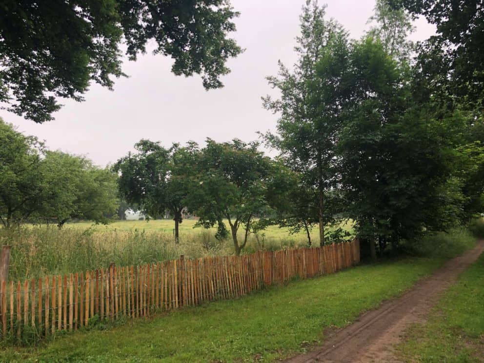 Frans schapenhek van robinia hout met een hoogte van 80 cm en een latafstand van 4 cm Adequat