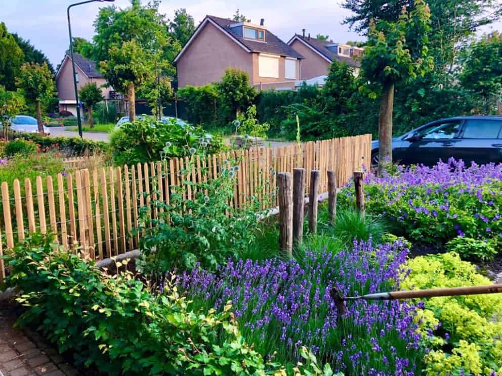 Frans schapenhek van robinia hout met een hoogte van 80 cm en een latafstand van 4 cm Adequat