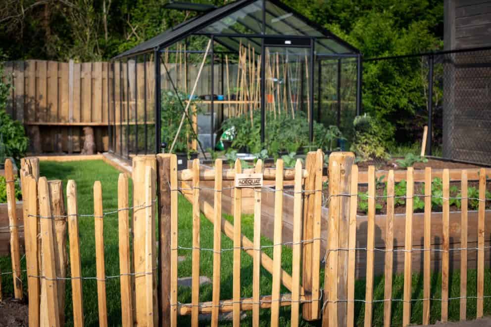 Schapenhek van robinia can 80 cm hoog met latafstand 8 cm met een raamwerkpoort van 80 cm hoog bij 80 cm breed met robinia schapenhek bekleed