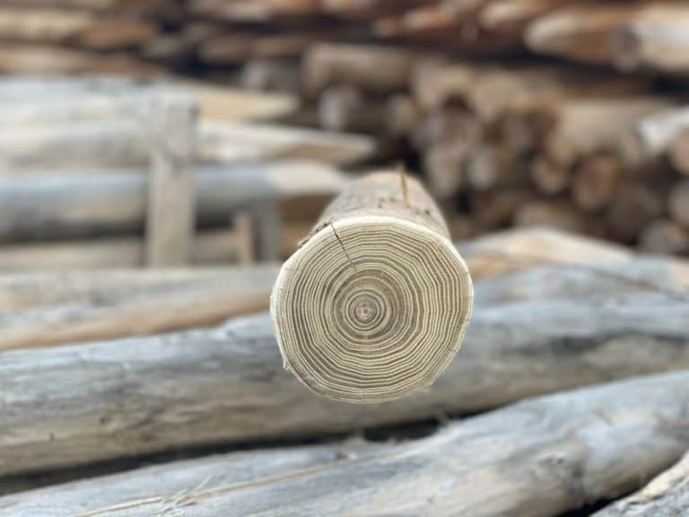 Robinia paal | houten paal | Adéquat