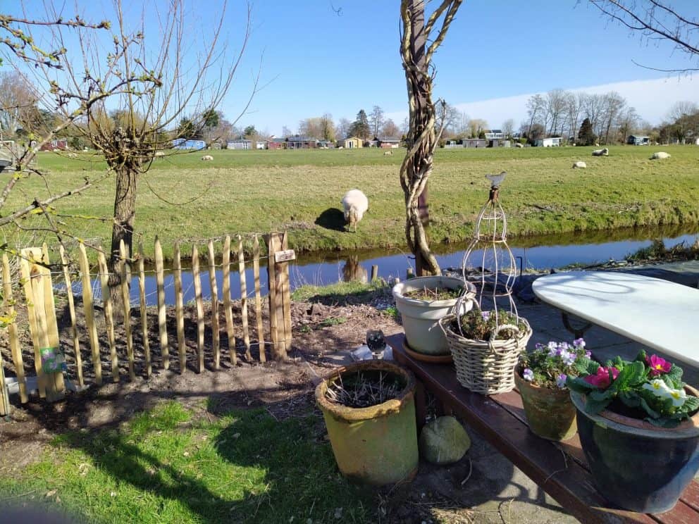 Frans schapenhek van kastanjehout met een hoogte van 80 cm en een latafstand van 4 cm