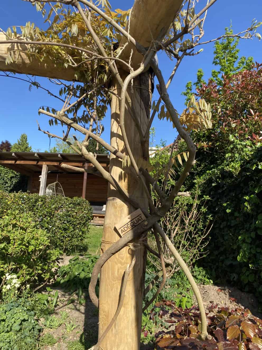 Kastanje paal Adéquat