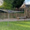 Robinia hekwerk - Afbeelding 3