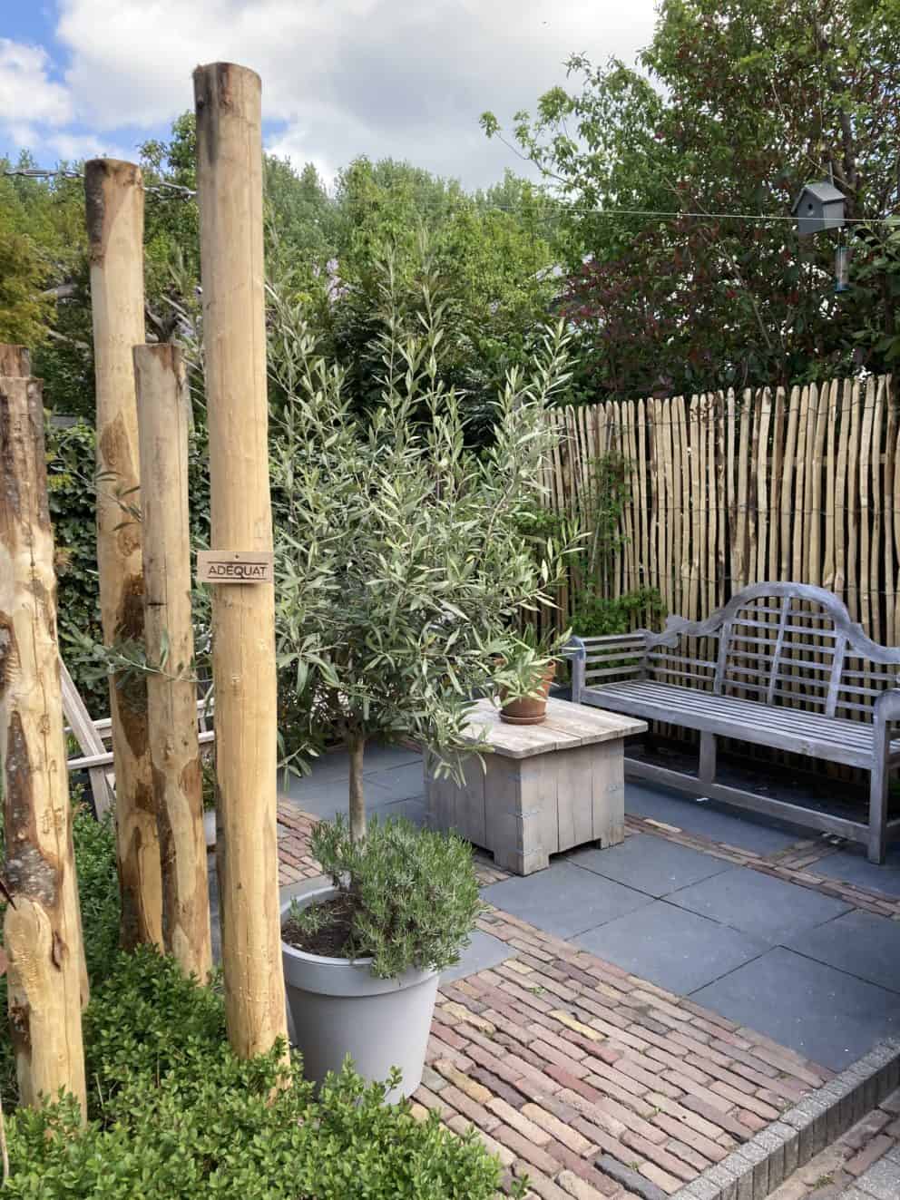 Frans Schapenhek 200 cm Adequat