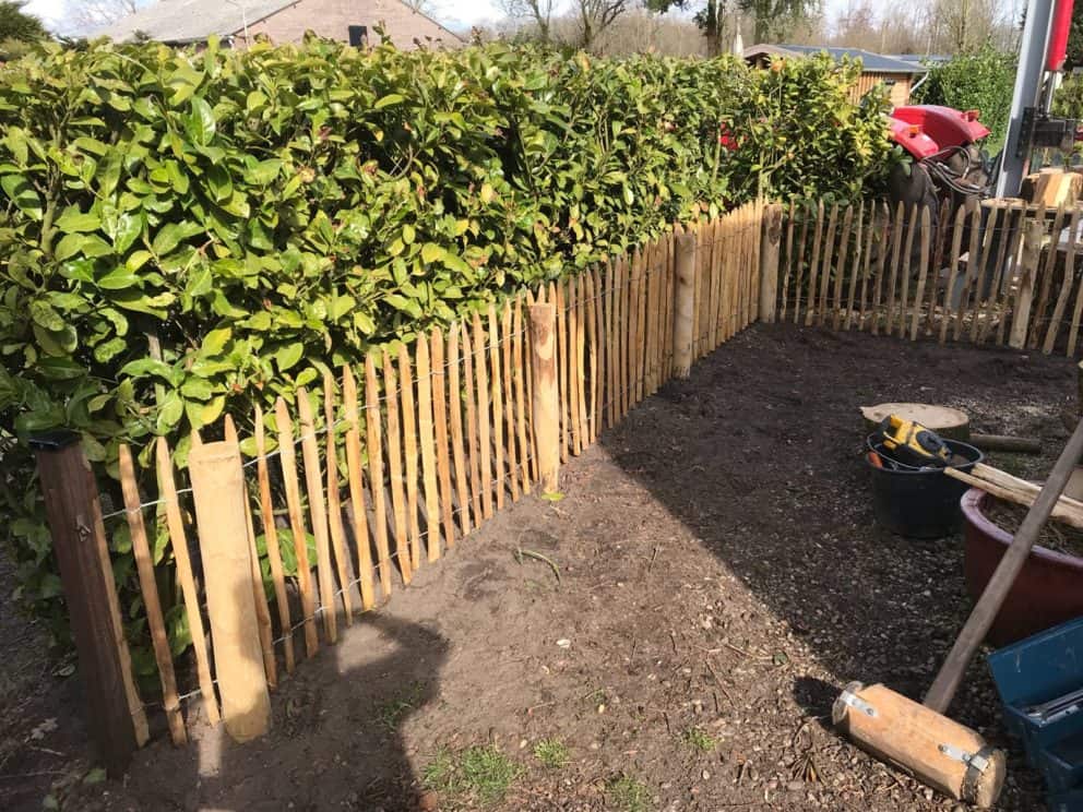 Frans schapenhek van kastanjehout met een hoogte van 80 cm en een latafstand van 4 cm