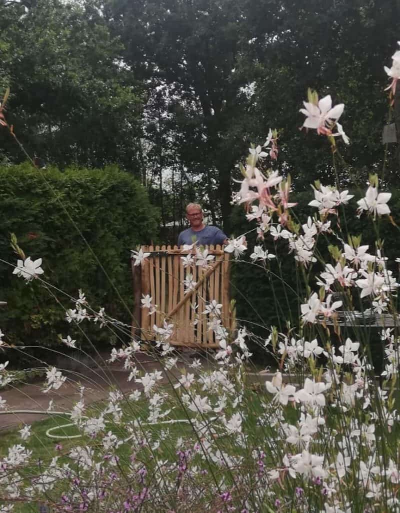 Franse rondhoutpoort van 120 breed bij 120 hoog ls doorgang tussen een heeg in een tuin.