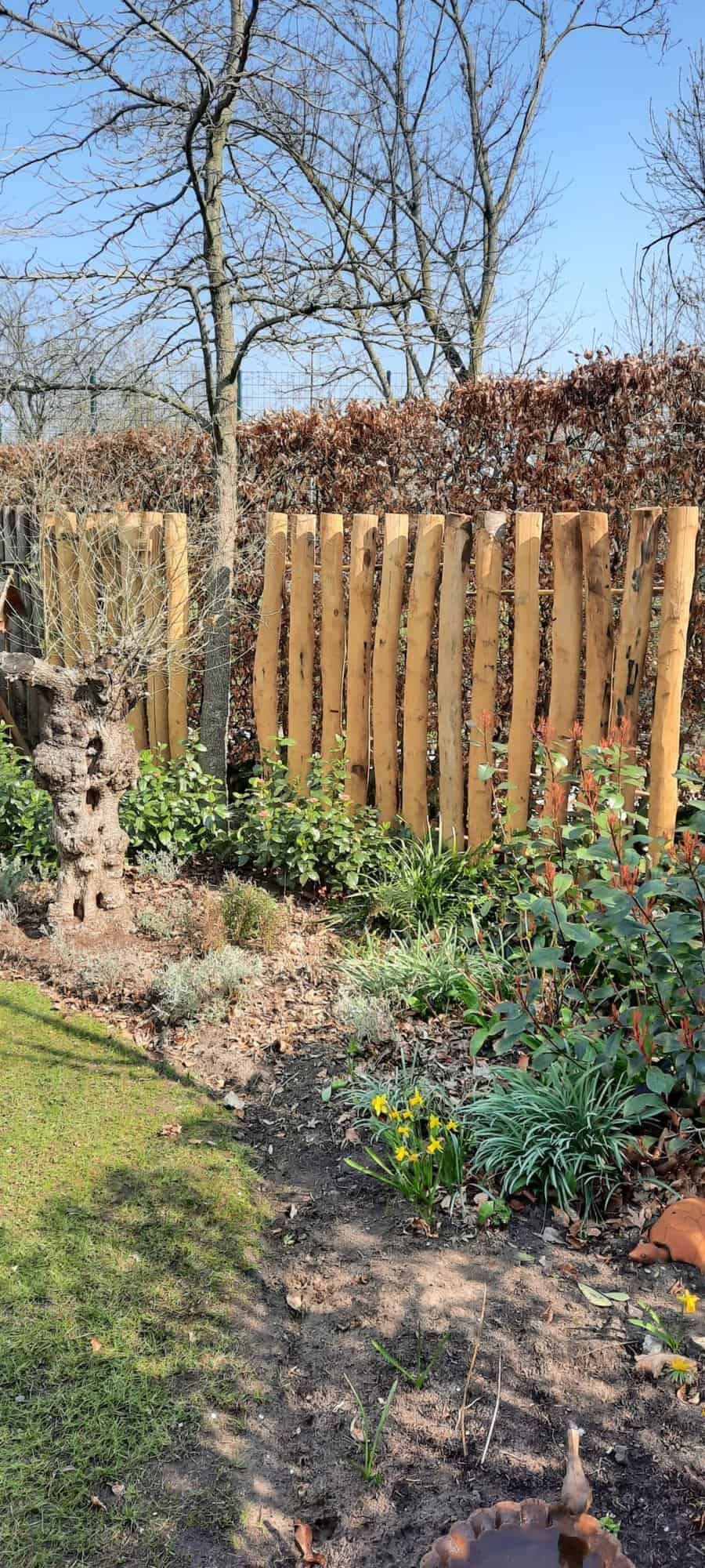 Kastanje palen 200 cm Adequat